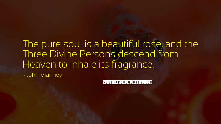 John Vianney Quotes: The pure soul is a beautiful rose, and the Three Divine Persons descend from Heaven to inhale its fragrance.