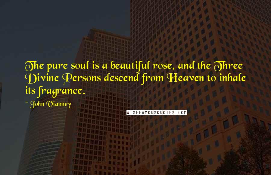 John Vianney Quotes: The pure soul is a beautiful rose, and the Three Divine Persons descend from Heaven to inhale its fragrance.