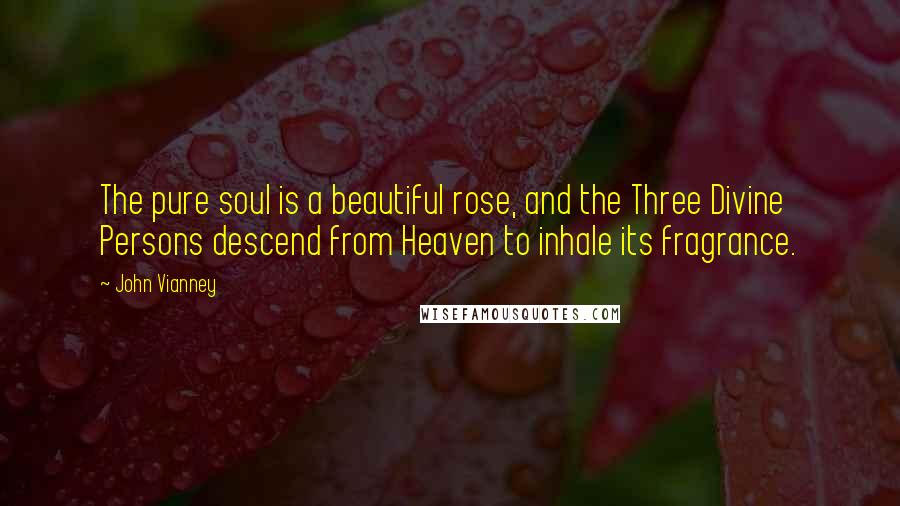 John Vianney Quotes: The pure soul is a beautiful rose, and the Three Divine Persons descend from Heaven to inhale its fragrance.