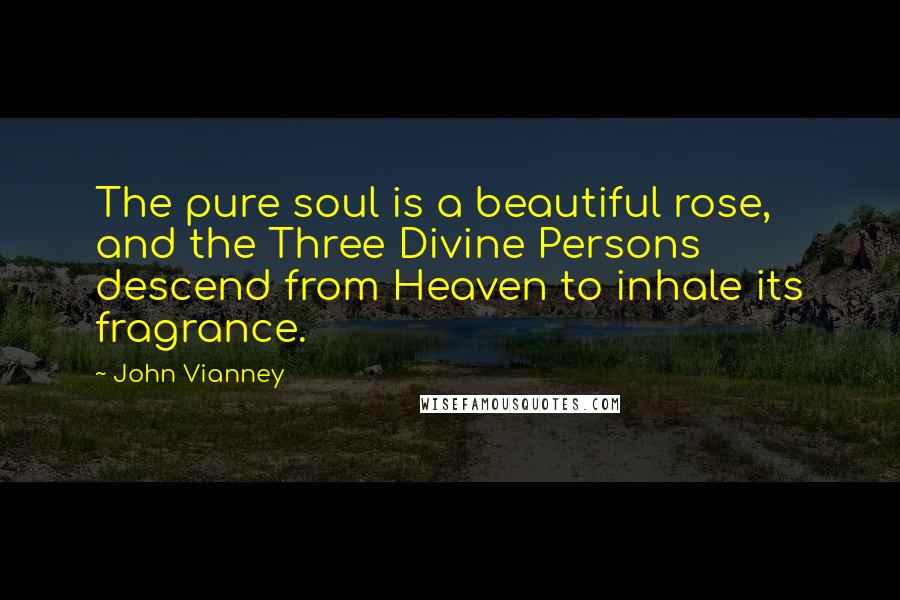 John Vianney Quotes: The pure soul is a beautiful rose, and the Three Divine Persons descend from Heaven to inhale its fragrance.