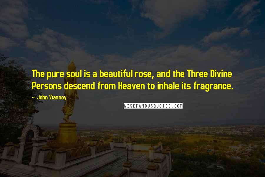 John Vianney Quotes: The pure soul is a beautiful rose, and the Three Divine Persons descend from Heaven to inhale its fragrance.