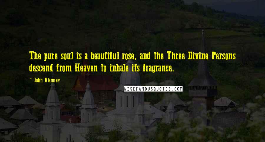 John Vianney Quotes: The pure soul is a beautiful rose, and the Three Divine Persons descend from Heaven to inhale its fragrance.