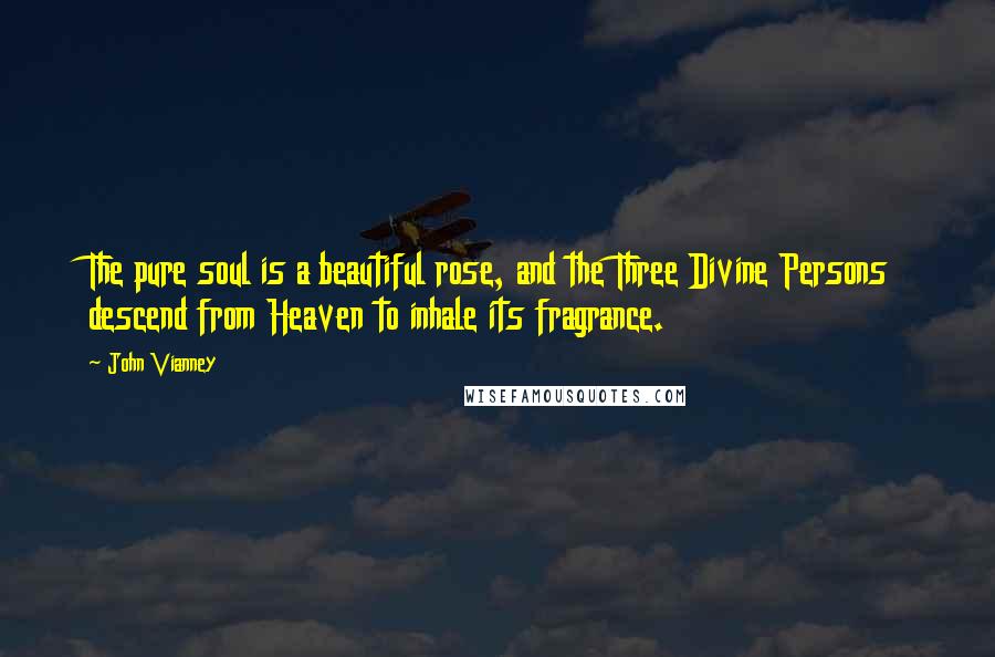 John Vianney Quotes: The pure soul is a beautiful rose, and the Three Divine Persons descend from Heaven to inhale its fragrance.