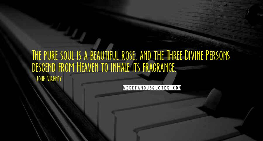 John Vianney Quotes: The pure soul is a beautiful rose, and the Three Divine Persons descend from Heaven to inhale its fragrance.