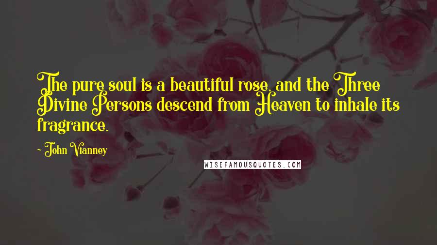 John Vianney Quotes: The pure soul is a beautiful rose, and the Three Divine Persons descend from Heaven to inhale its fragrance.