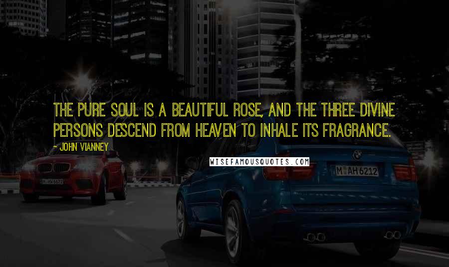 John Vianney Quotes: The pure soul is a beautiful rose, and the Three Divine Persons descend from Heaven to inhale its fragrance.