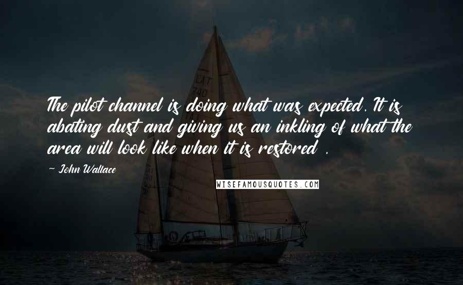 John Wallace Quotes: The pilot channel is doing what was expected. It is abating dust and giving us an inkling of what the area will look like when it is restored .