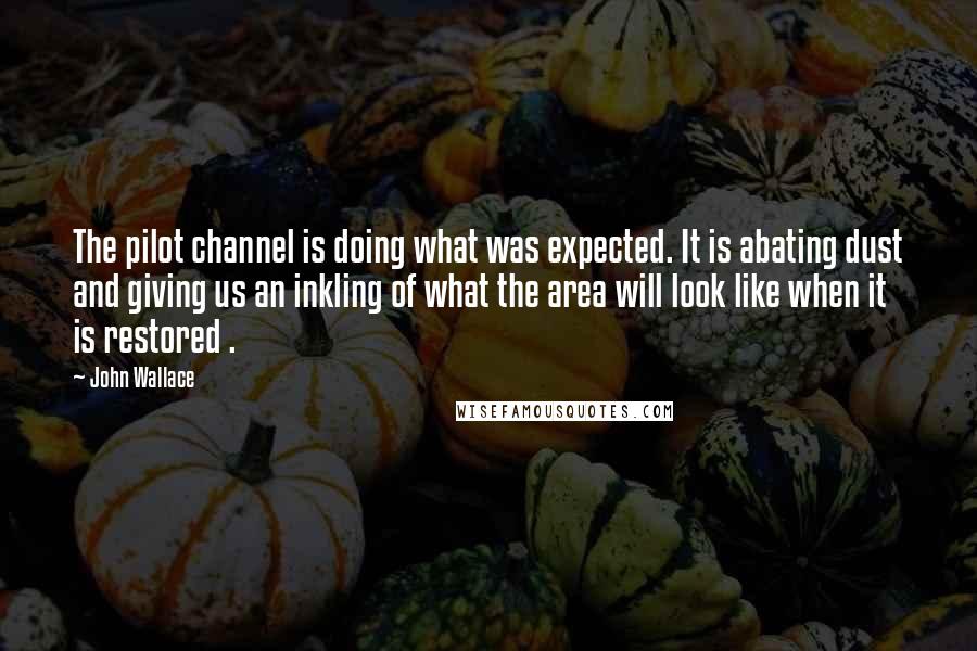 John Wallace Quotes: The pilot channel is doing what was expected. It is abating dust and giving us an inkling of what the area will look like when it is restored .