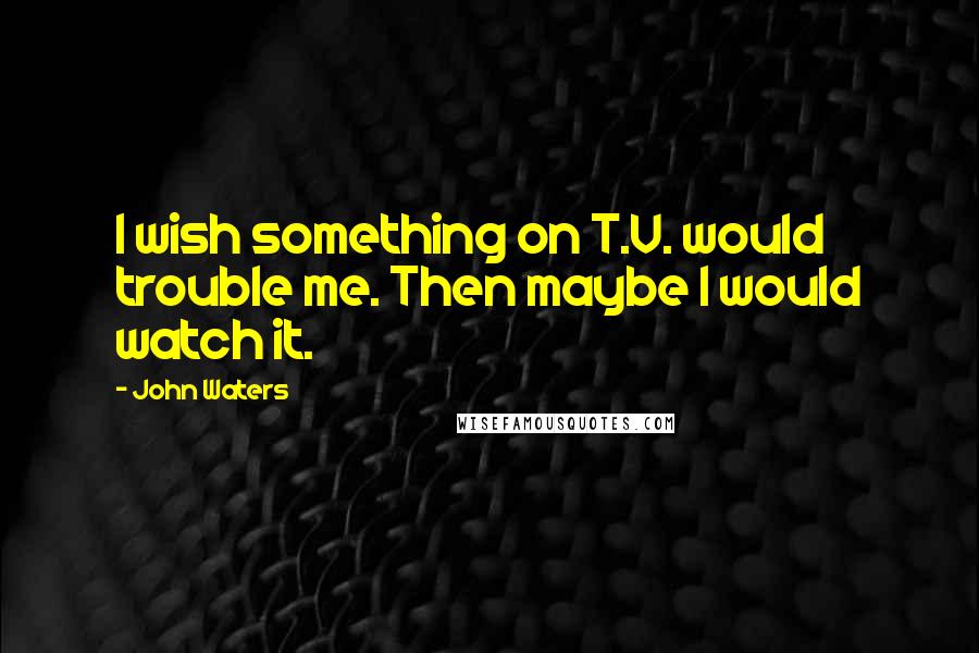 John Waters Quotes: I wish something on T.V. would trouble me. Then maybe I would watch it.