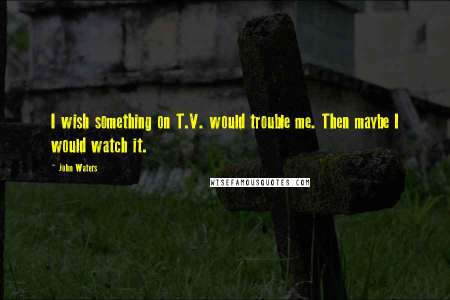 John Waters Quotes: I wish something on T.V. would trouble me. Then maybe I would watch it.