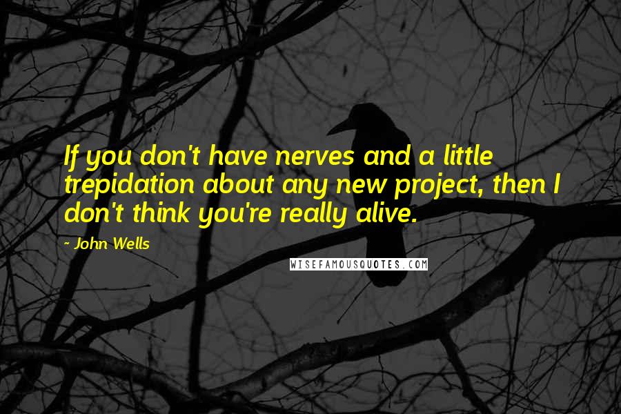 John Wells Quotes: If you don't have nerves and a little trepidation about any new project, then I don't think you're really alive.