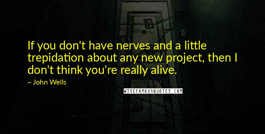 John Wells Quotes: If you don't have nerves and a little trepidation about any new project, then I don't think you're really alive.