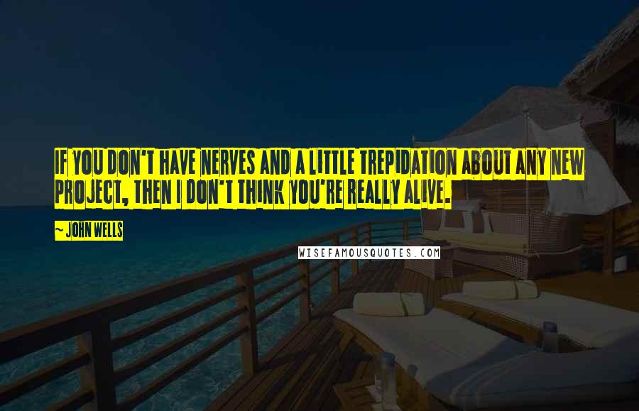 John Wells Quotes: If you don't have nerves and a little trepidation about any new project, then I don't think you're really alive.