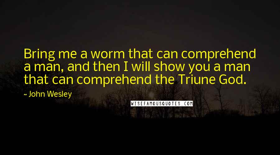 John Wesley Quotes: Bring me a worm that can comprehend a man, and then I will show you a man that can comprehend the Triune God.