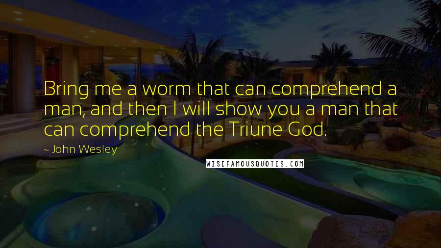 John Wesley Quotes: Bring me a worm that can comprehend a man, and then I will show you a man that can comprehend the Triune God.