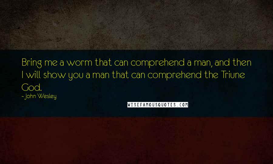 John Wesley Quotes: Bring me a worm that can comprehend a man, and then I will show you a man that can comprehend the Triune God.