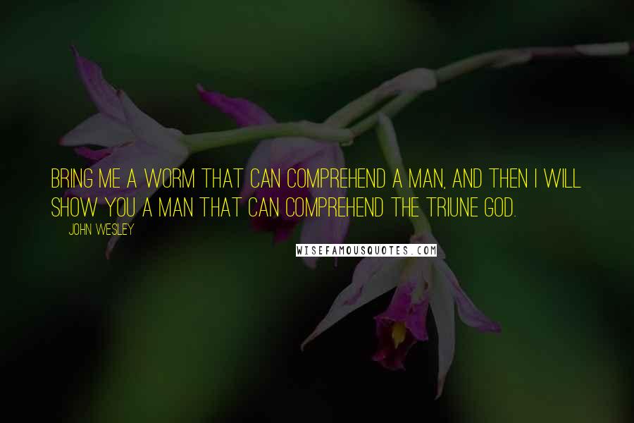 John Wesley Quotes: Bring me a worm that can comprehend a man, and then I will show you a man that can comprehend the Triune God.