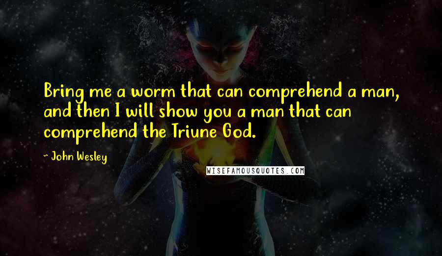 John Wesley Quotes: Bring me a worm that can comprehend a man, and then I will show you a man that can comprehend the Triune God.