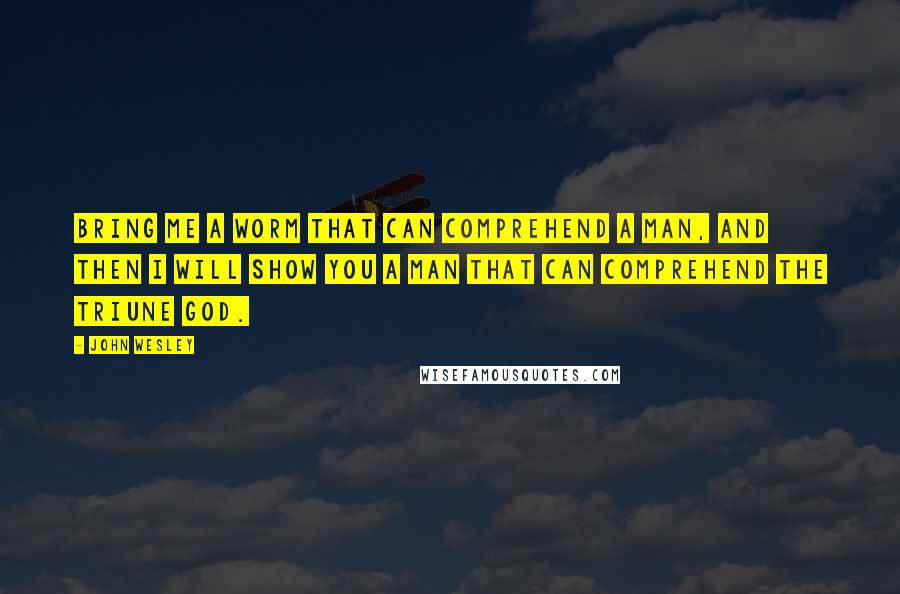 John Wesley Quotes: Bring me a worm that can comprehend a man, and then I will show you a man that can comprehend the Triune God.