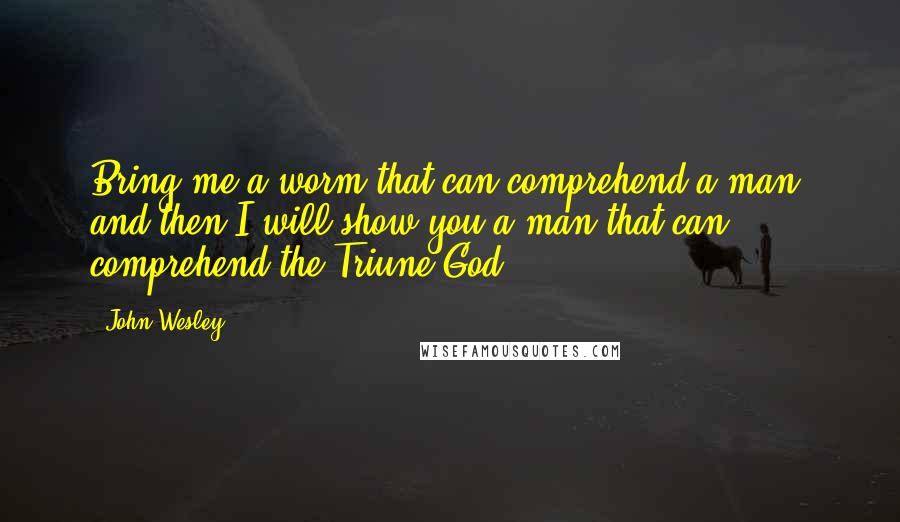 John Wesley Quotes: Bring me a worm that can comprehend a man, and then I will show you a man that can comprehend the Triune God.