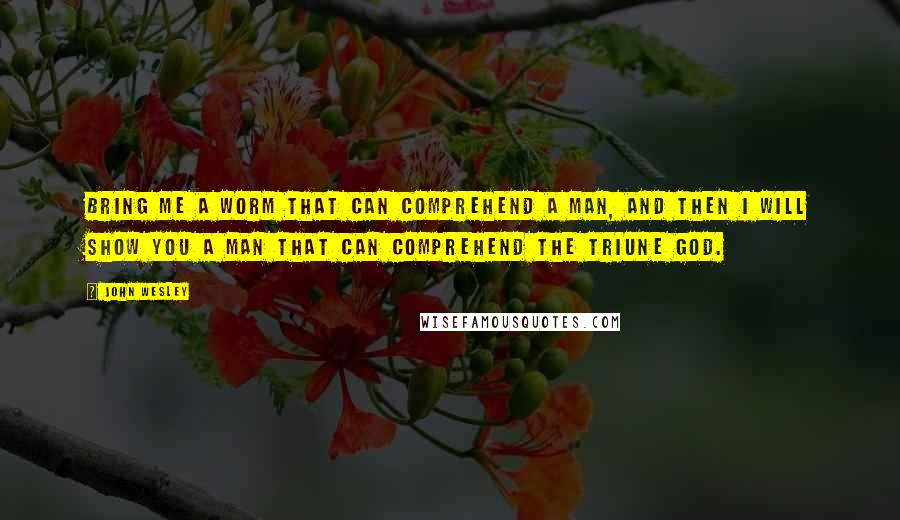 John Wesley Quotes: Bring me a worm that can comprehend a man, and then I will show you a man that can comprehend the Triune God.