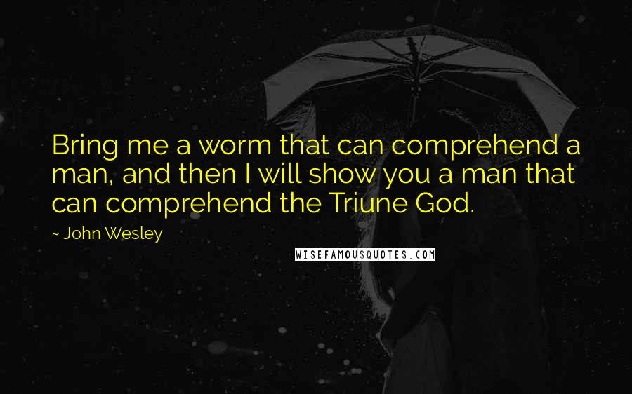 John Wesley Quotes: Bring me a worm that can comprehend a man, and then I will show you a man that can comprehend the Triune God.