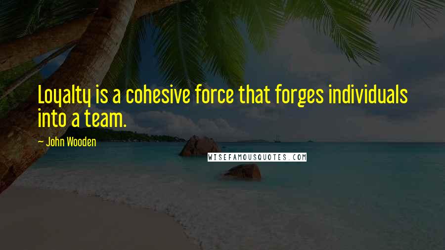 John Wooden Quotes: Loyalty is a cohesive force that forges individuals into a team.