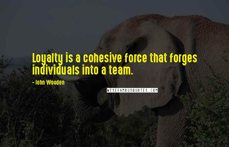 John Wooden Quotes: Loyalty is a cohesive force that forges individuals into a team.