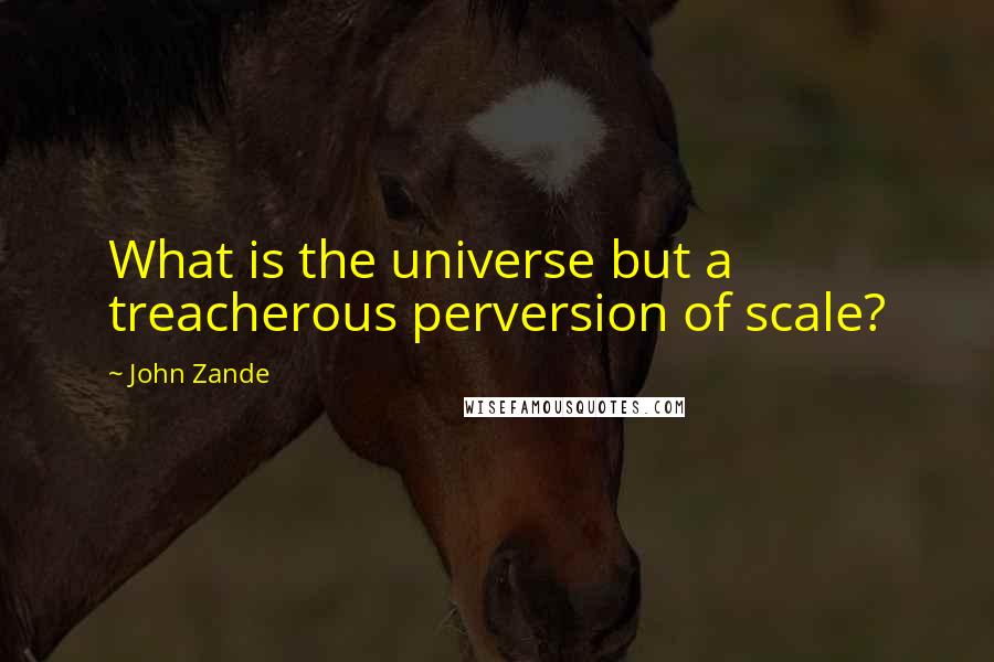 John Zande Quotes: What is the universe but a treacherous perversion of scale?