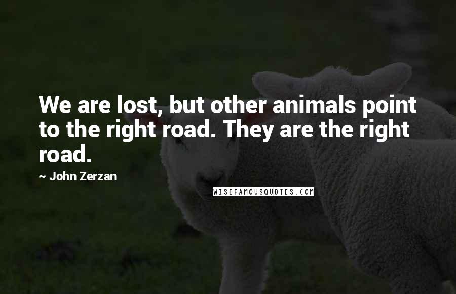 John Zerzan Quotes: We are lost, but other animals point to the right road. They are the right road.