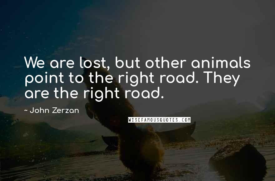 John Zerzan Quotes: We are lost, but other animals point to the right road. They are the right road.