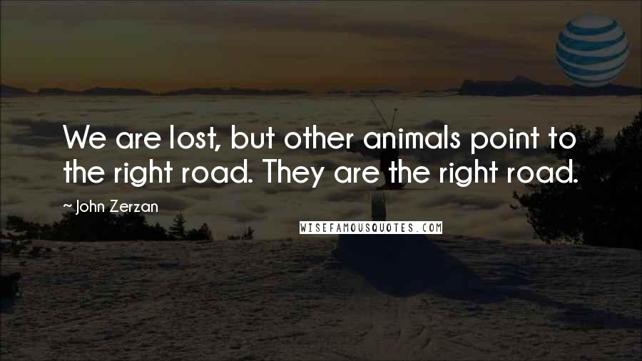 John Zerzan Quotes: We are lost, but other animals point to the right road. They are the right road.