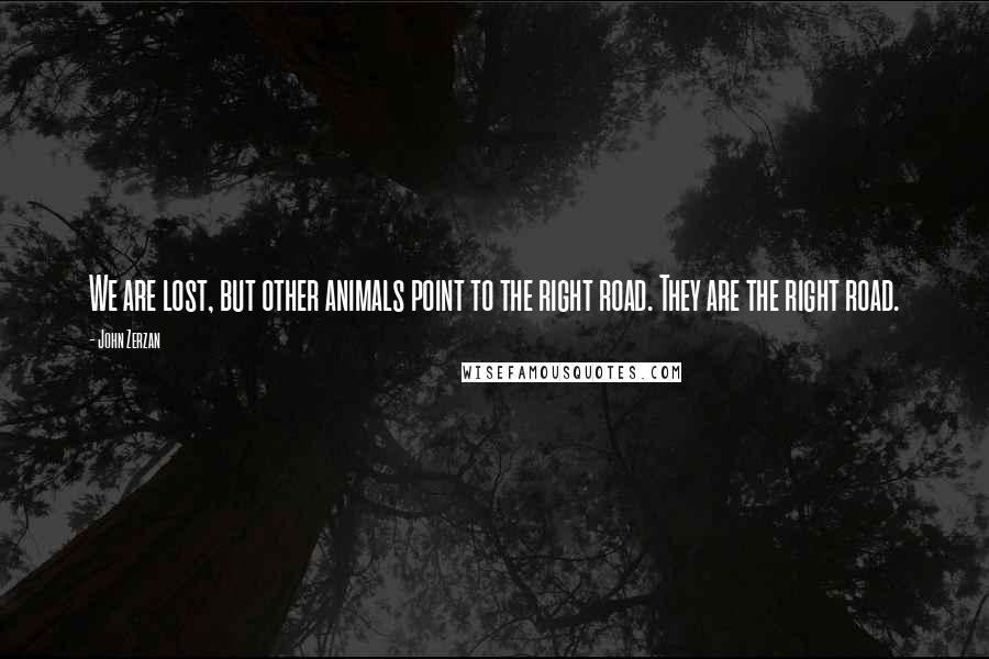 John Zerzan Quotes: We are lost, but other animals point to the right road. They are the right road.