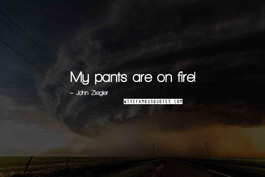 John Ziegler Quotes: My pants are on fire!