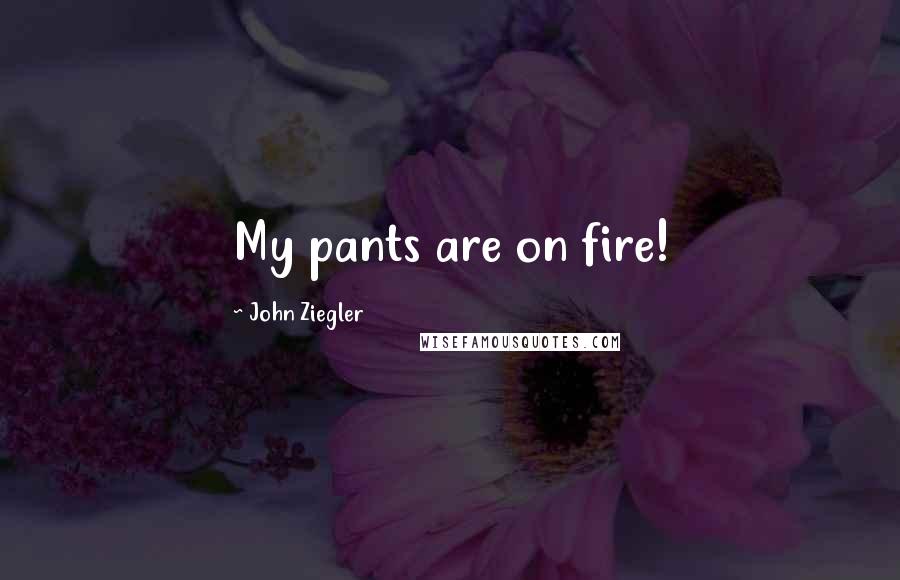 John Ziegler Quotes: My pants are on fire!