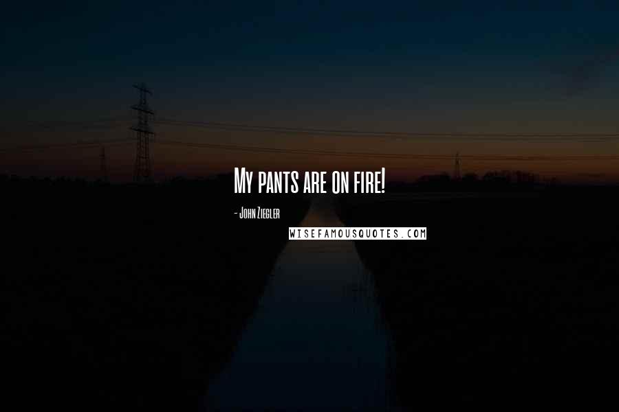 John Ziegler Quotes: My pants are on fire!