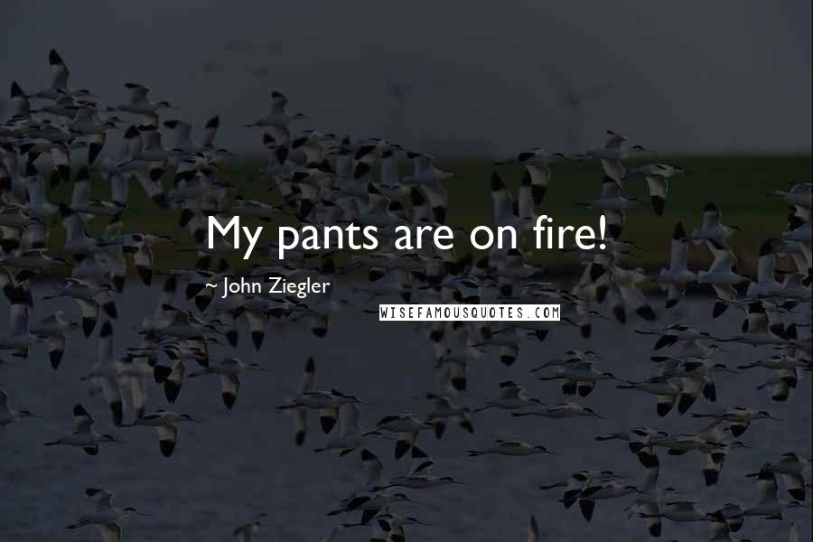 John Ziegler Quotes: My pants are on fire!