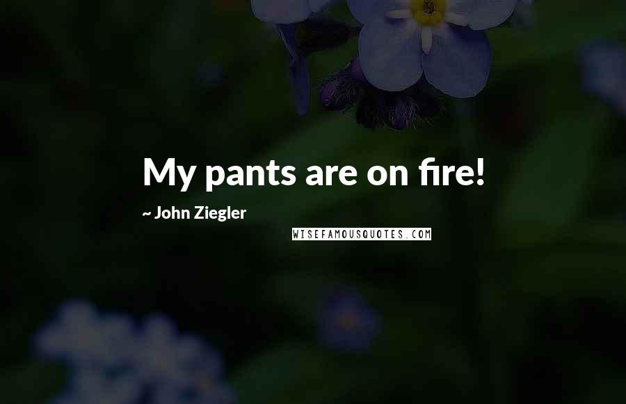 John Ziegler Quotes: My pants are on fire!