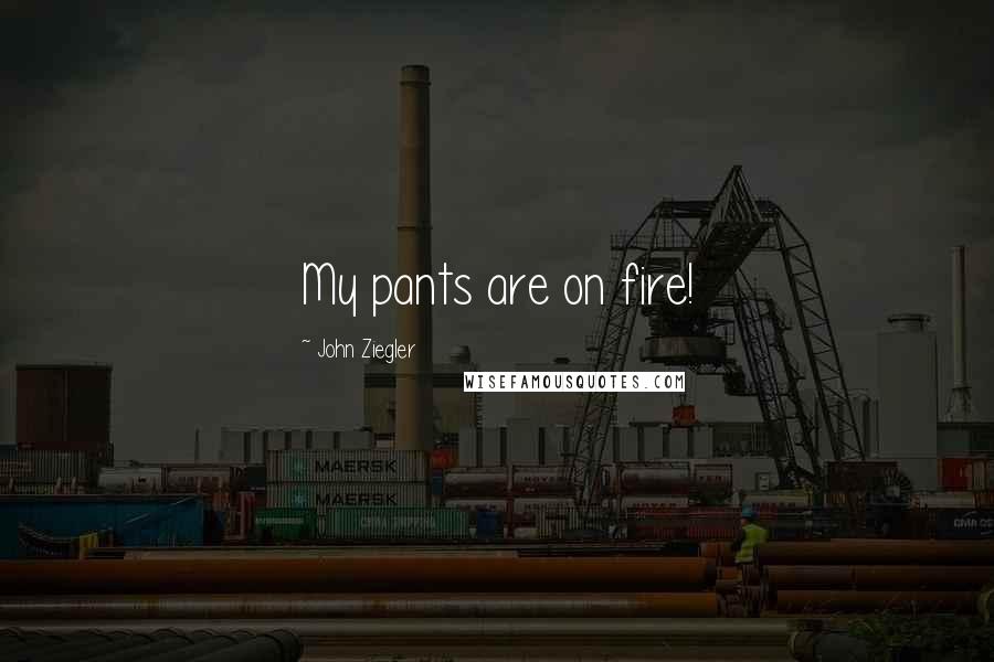 John Ziegler Quotes: My pants are on fire!