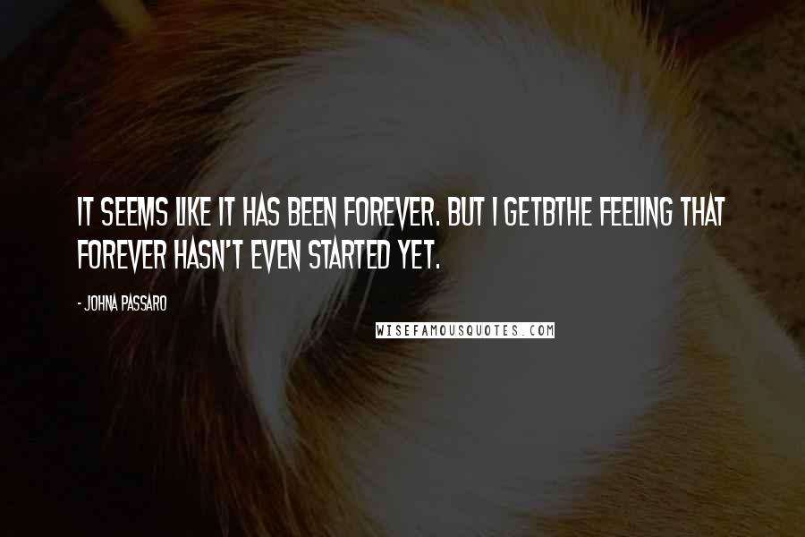 JohnA Passaro Quotes: It seems like it has been forever. But i getbthe feeling that forever hasn't even started yet.