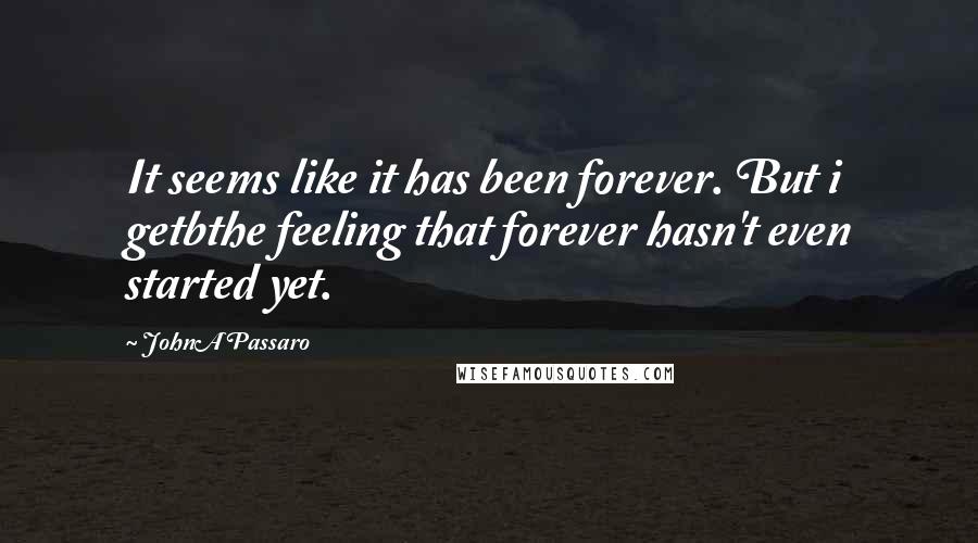 JohnA Passaro Quotes: It seems like it has been forever. But i getbthe feeling that forever hasn't even started yet.