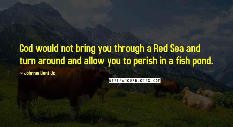 Johnnie Dent Jr. Quotes: God would not bring you through a Red Sea and turn around and allow you to perish in a fish pond.