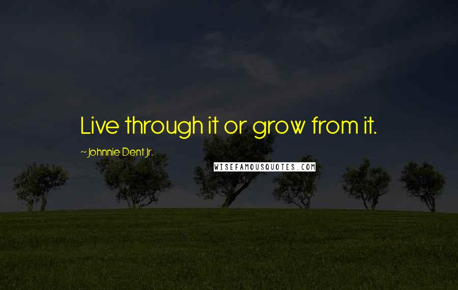Johnnie Dent Jr. Quotes: Live through it or grow from it.