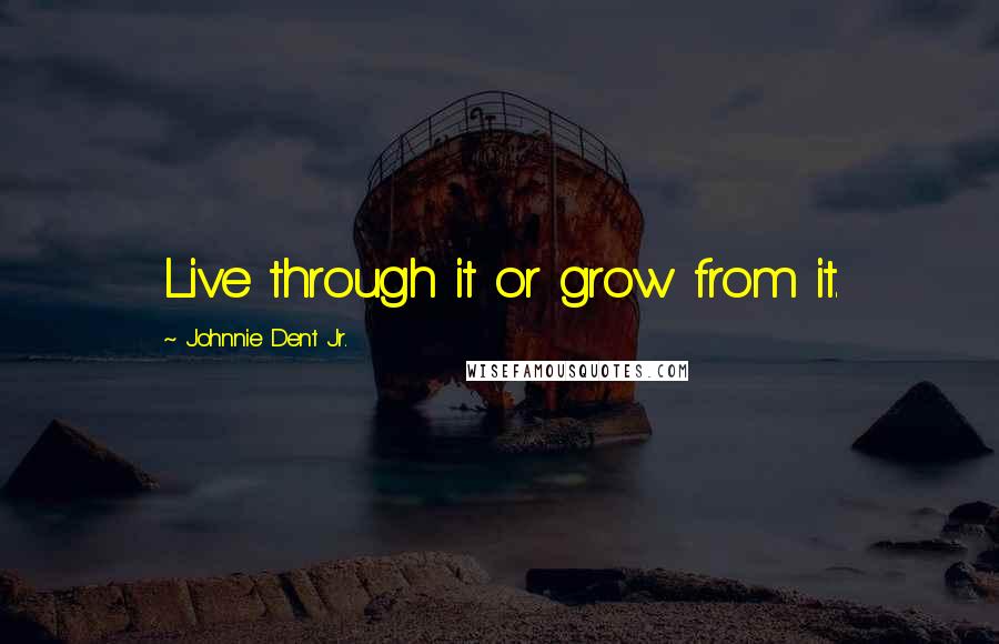 Johnnie Dent Jr. Quotes: Live through it or grow from it.