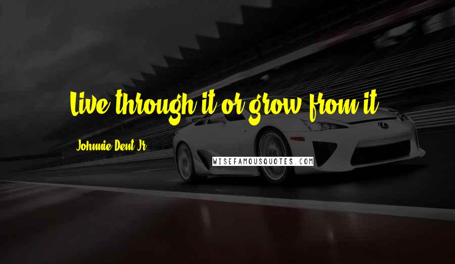 Johnnie Dent Jr. Quotes: Live through it or grow from it.