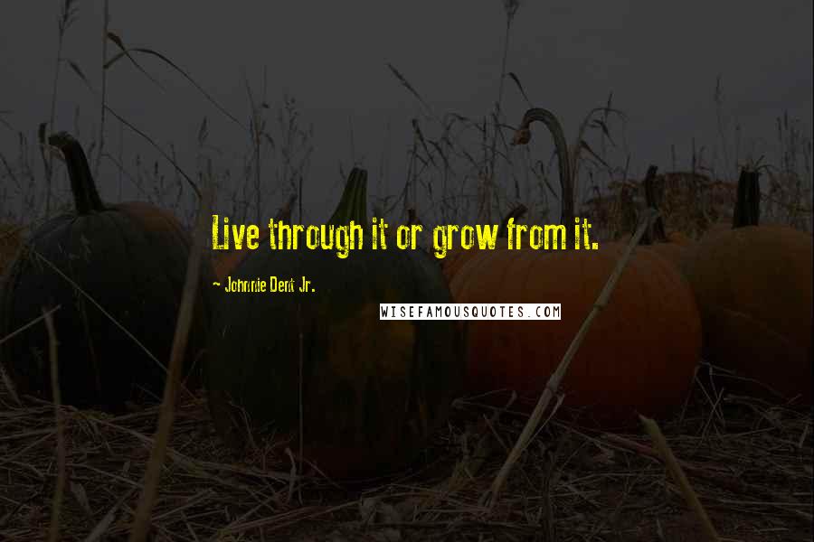 Johnnie Dent Jr. Quotes: Live through it or grow from it.