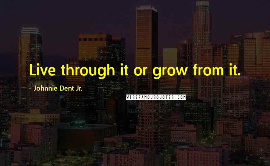 Johnnie Dent Jr. Quotes: Live through it or grow from it.