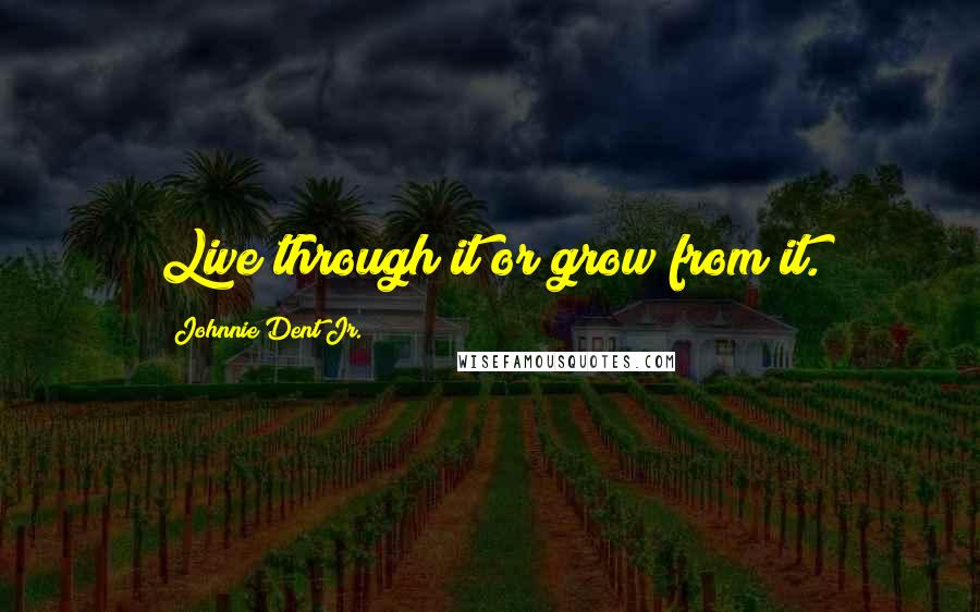 Johnnie Dent Jr. Quotes: Live through it or grow from it.