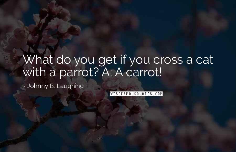 Johnny B. Laughing Quotes: What do you get if you cross a cat with a parrot? A: A carrot!