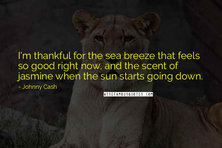 Johnny Cash Quotes: I'm thankful for the sea breeze that feels so good right now, and the scent of jasmine when the sun starts going down.